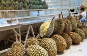durian